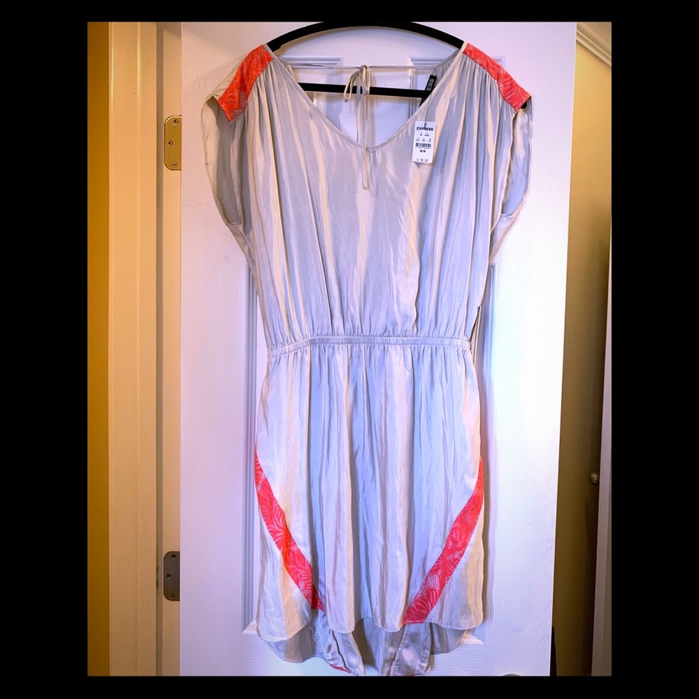 Express Silk Dress